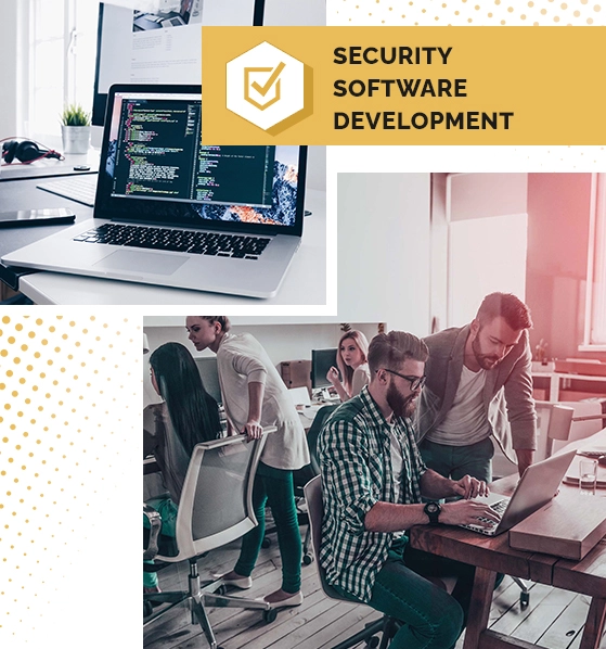 Software Security Development Services