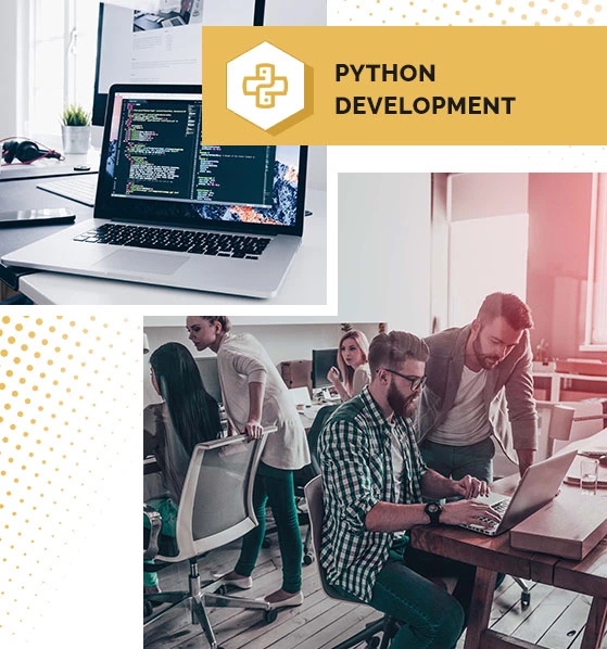 Python Web Development Services